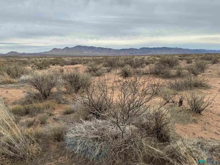 Silver Springs Road, Rodeo, NM 88056 - #2