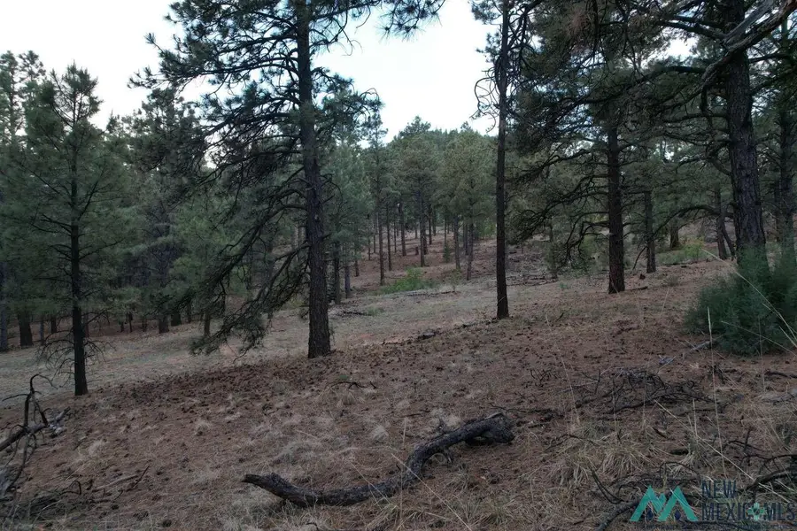 A015 County, Mora, NM 87732 - #2