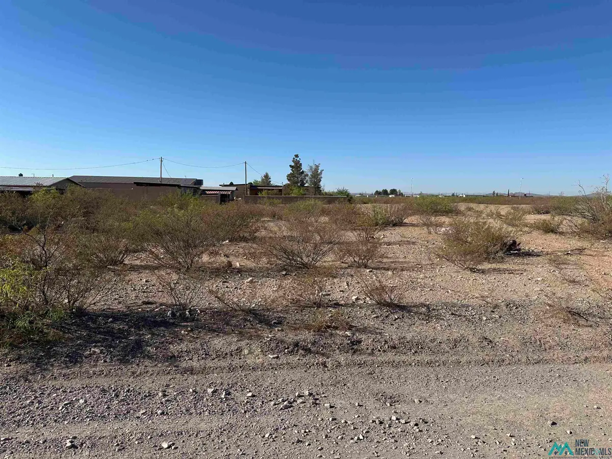 W Houston Avenue, Columbus, NM 88029 - #1