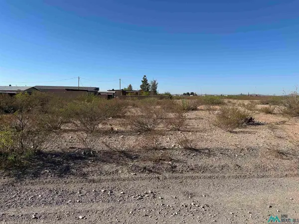 W Houston Avenue, Columbus, NM 88029