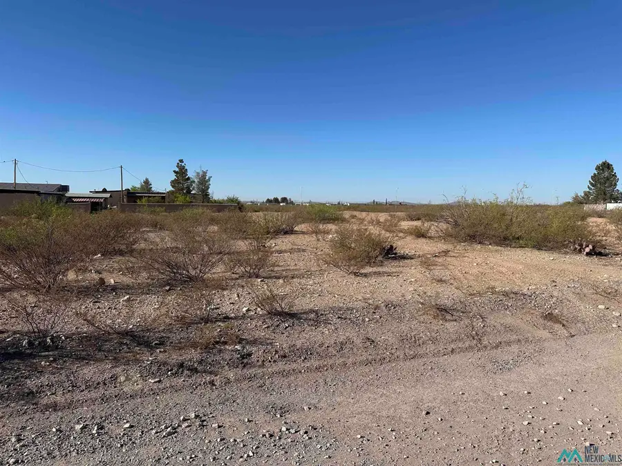 W Houston Avenue, Columbus, NM 88029 - #2