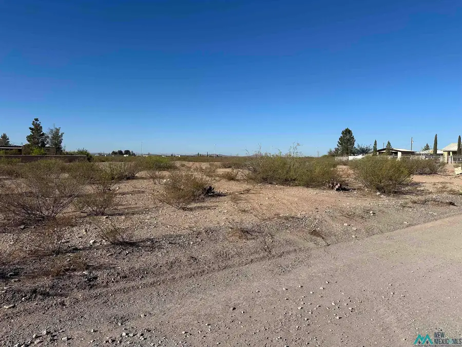W Houston Avenue, Columbus, NM 88029 - #3