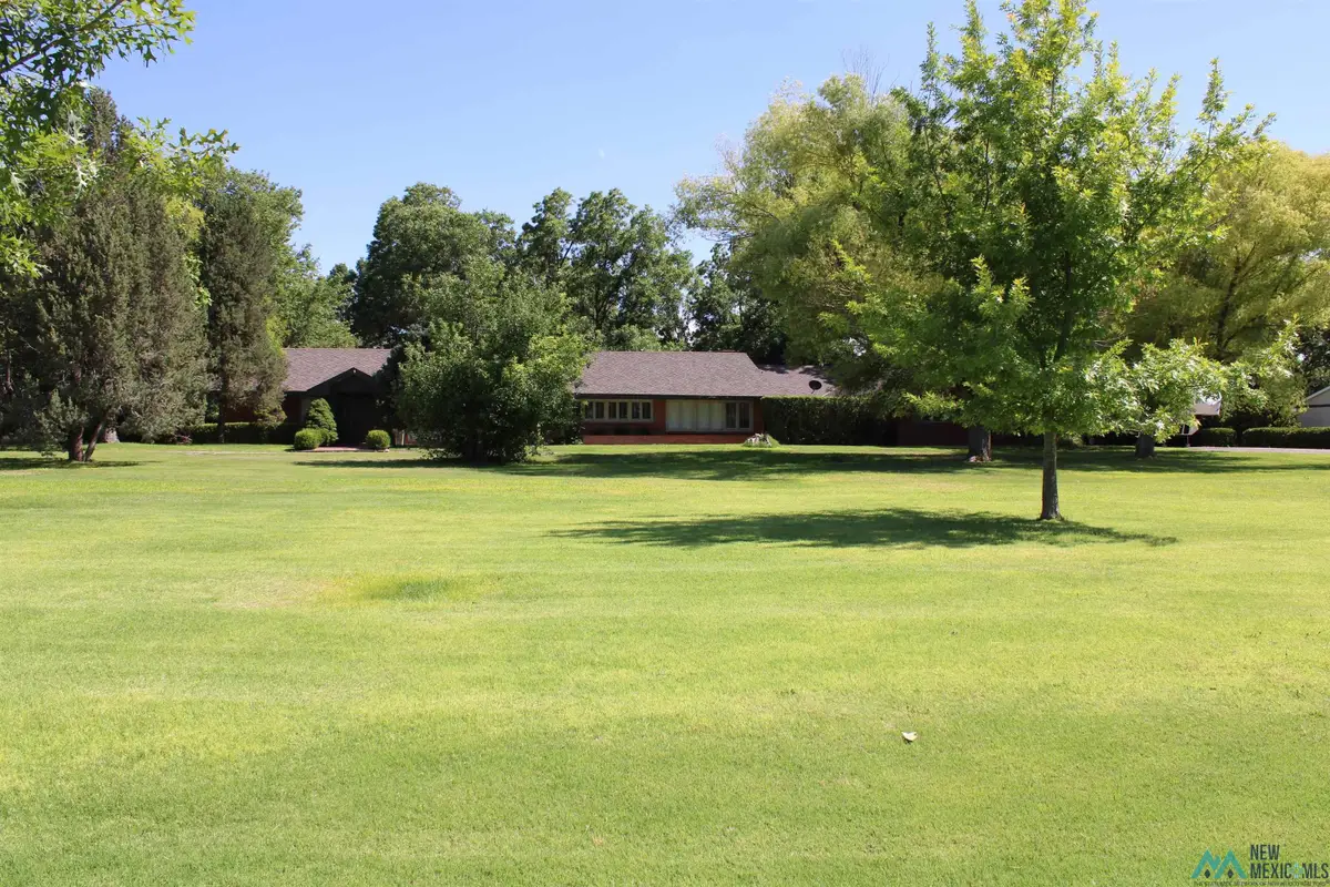 4024 South Springs, Roswell, NM 88201 - #1