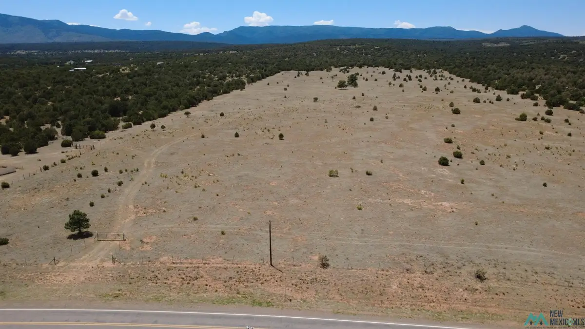 Highway 55, Torreon, NM 87061 - #1