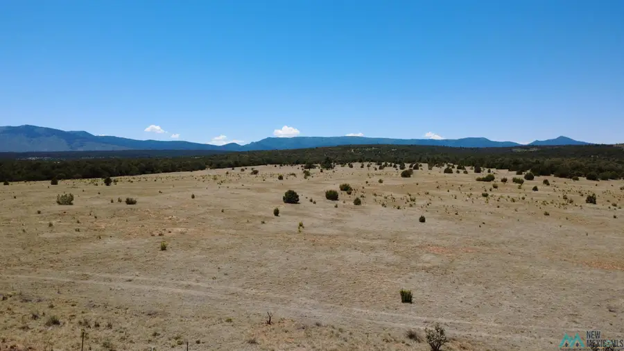 Highway 55, Torreon, NM 87061 - #3