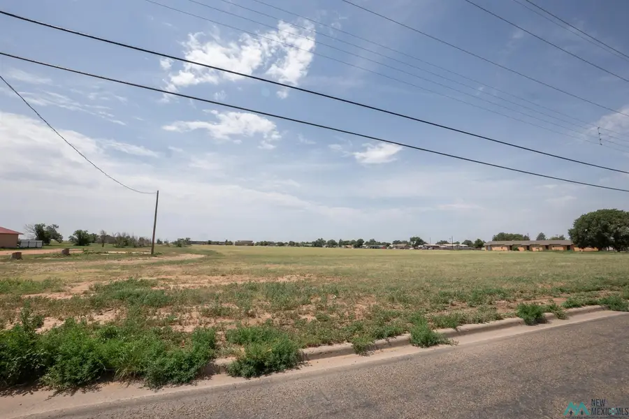 915 E Brady Ave, Clovis, NM 88101 - #2
