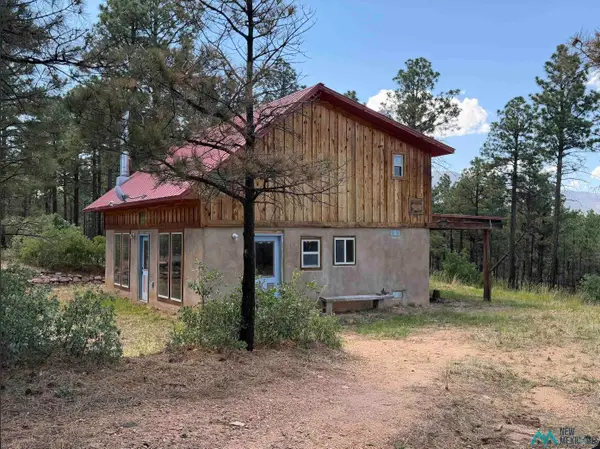 476 A18a County, Las Vegas, NM 87701