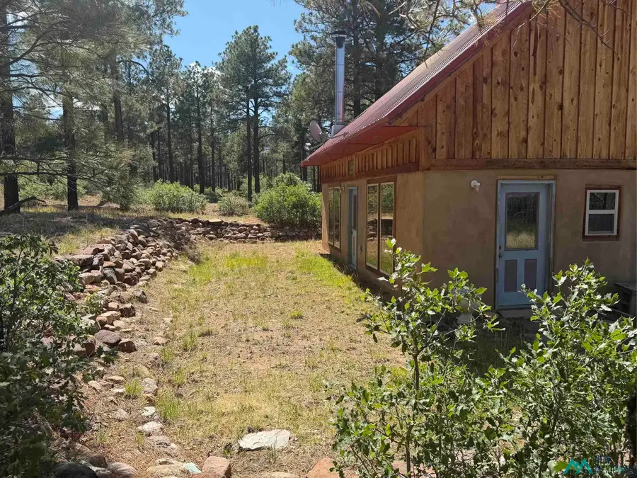 476 A18a County, Las Vegas, NM 87701 - #2