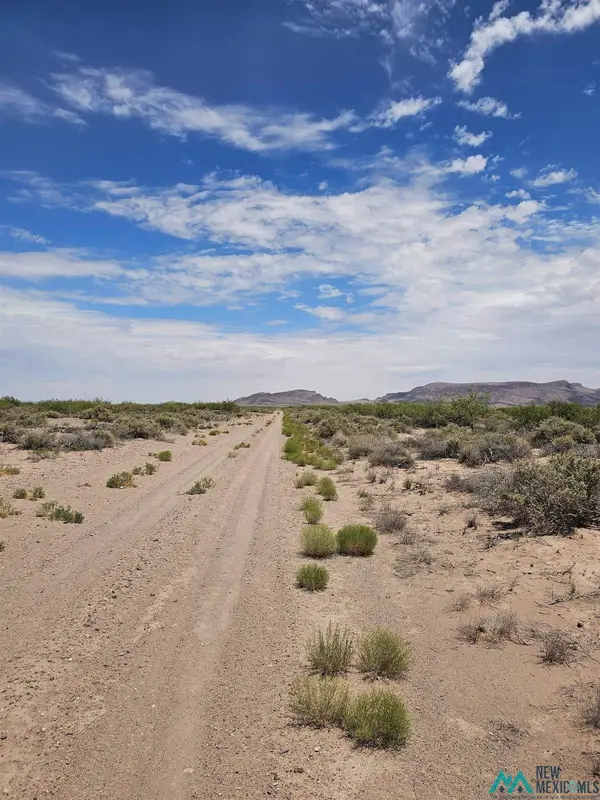 XXXX Rosa Rd Se Road, Deming, NM 88030