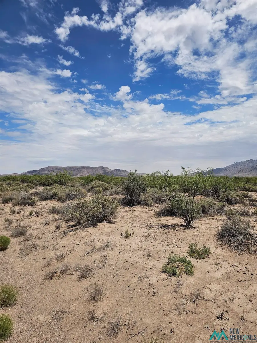 XXXX Rosa Rd Se Road, Deming, NM 88030 - #2