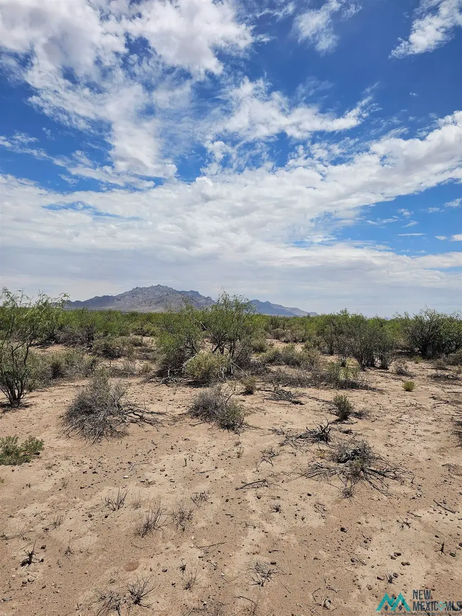 XXXX Rosa Rd Se Road, Deming, NM 88030 - #3
