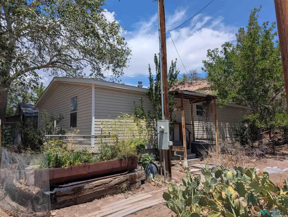 327 Animas Creek, Caballo, NM 87931 - #1
