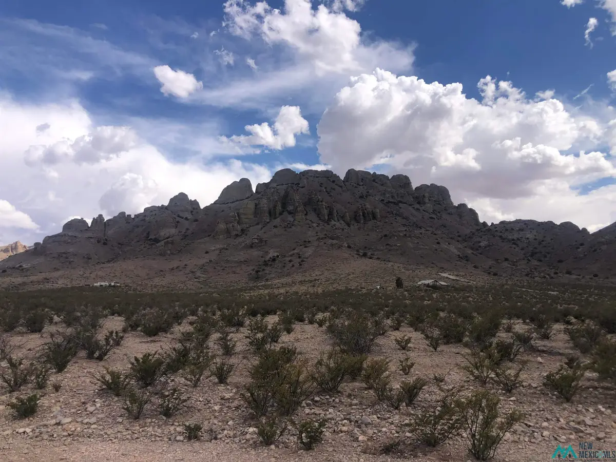Troncadero Rd Se, Deming, NM 88030 - #1