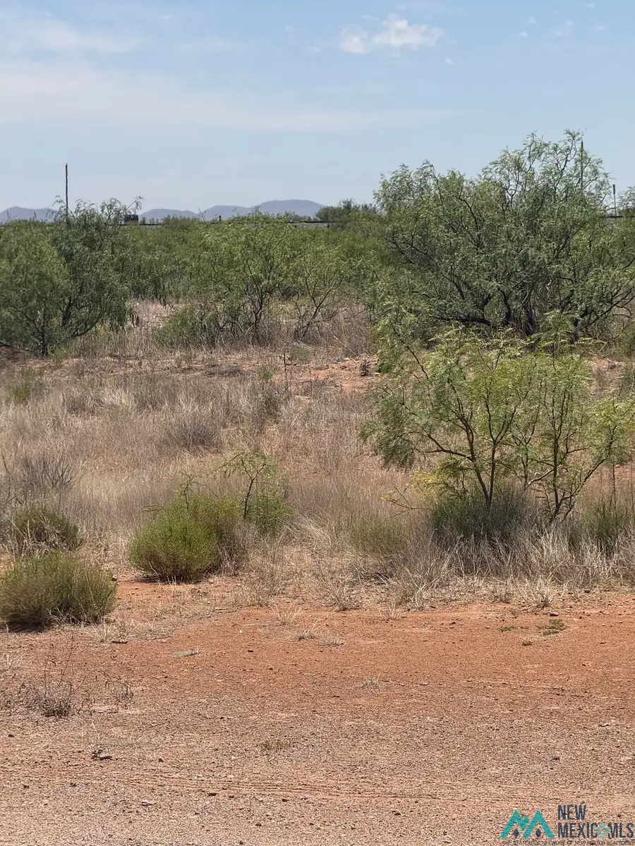 Good Sight, Deming, NM 88030-1824 - #3