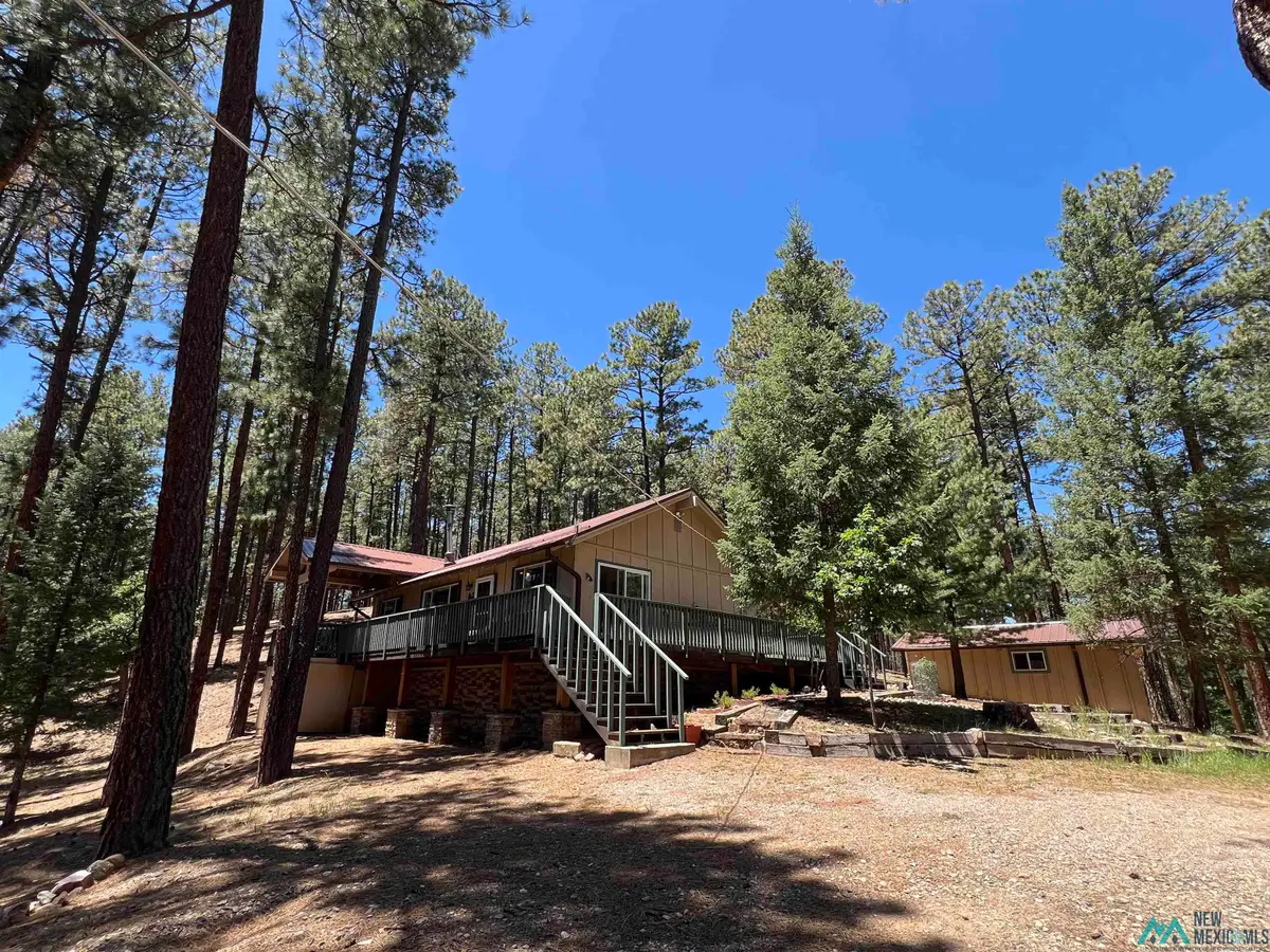 42 Forest West Dr, Rociada, NM 87742 - #1
