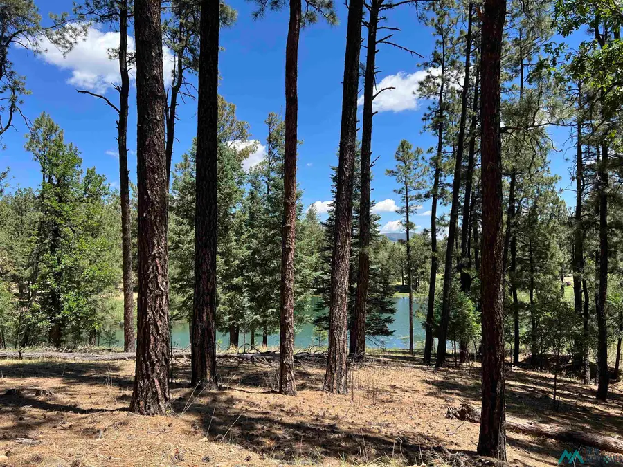 42 Forest West Dr, Rociada, NM 87742 - #2