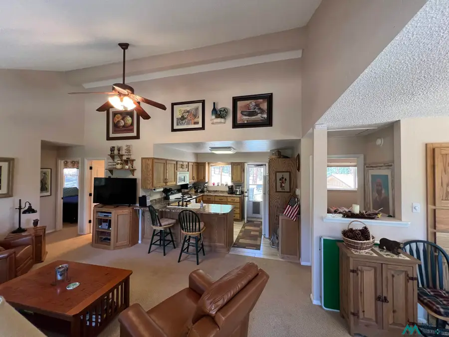42 Forest West Dr, Rociada, NM 87742 - #3