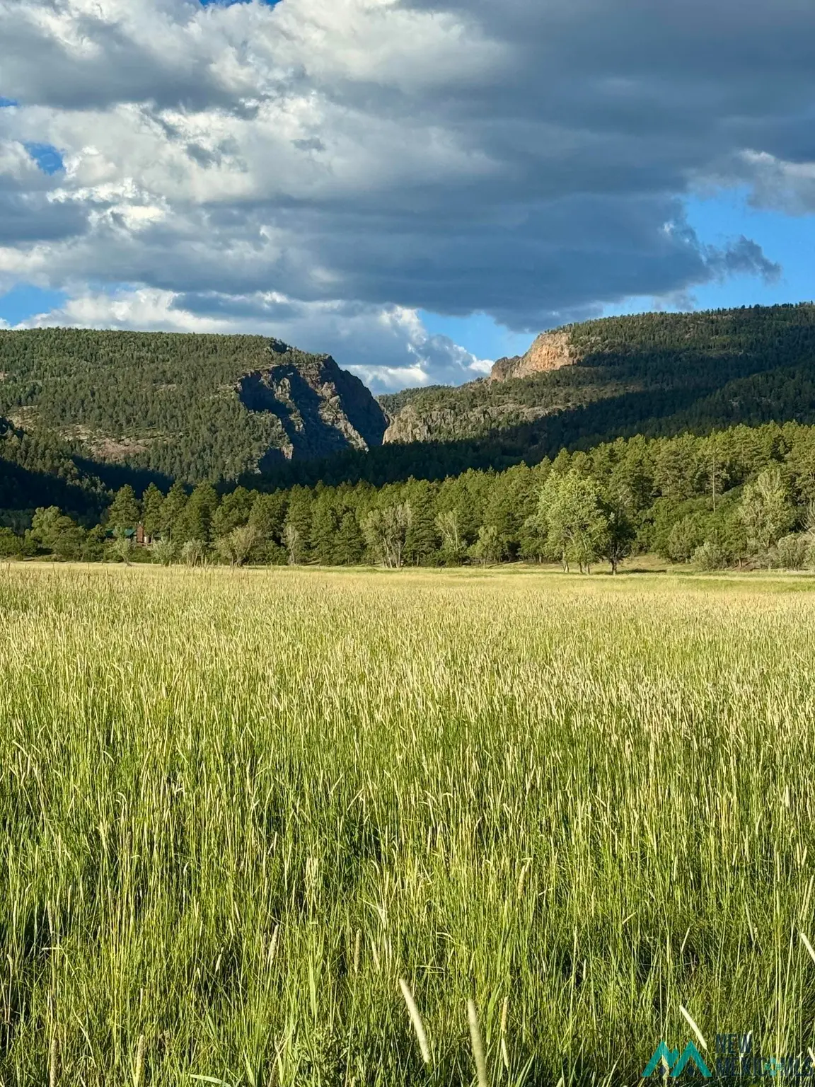 Pd 1788, Chama, NM 87520 - #1