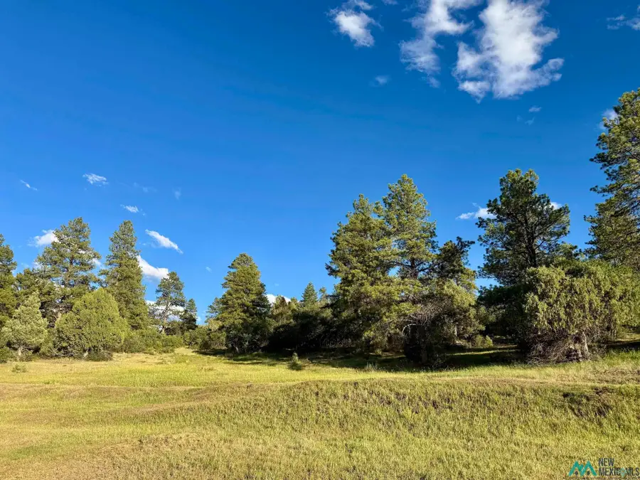 Pd 1788, Chama, NM 87520 - #2