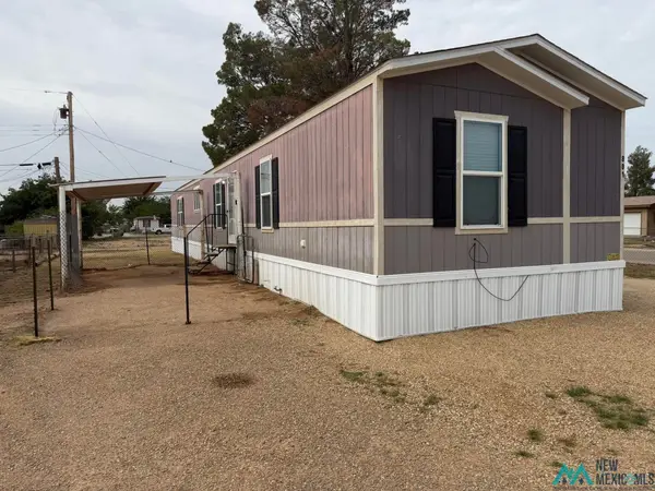 801 Riata Rd, Carlsbad, NM 88220
