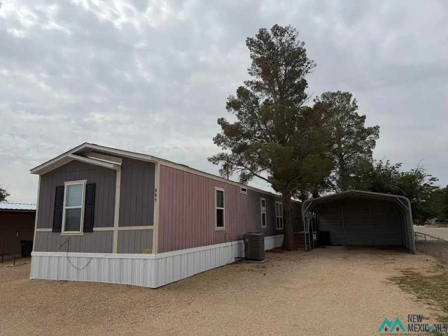 801 Riata Rd, Carlsbad, NM 88220 - #2