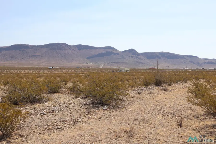 Tamarack Rd Se, Deming, NM 88030 - #3