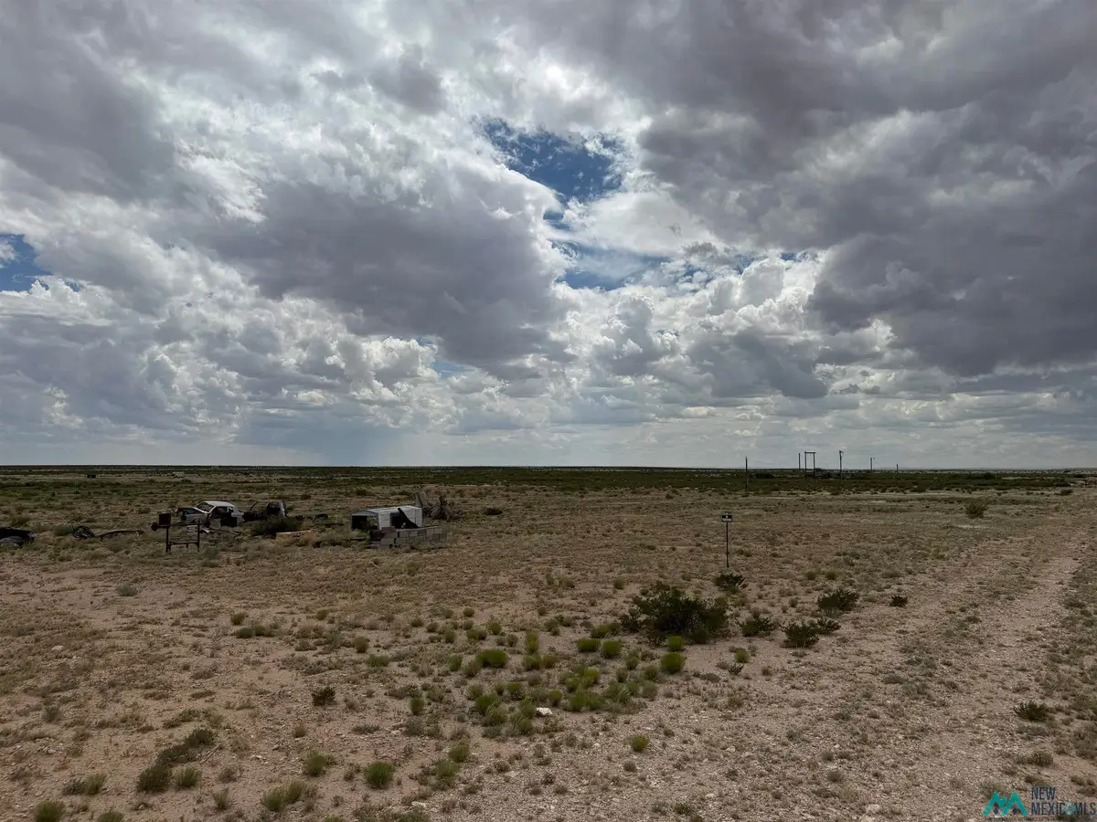 61 Colbert Ave, Artesia, NM 88210 - #1