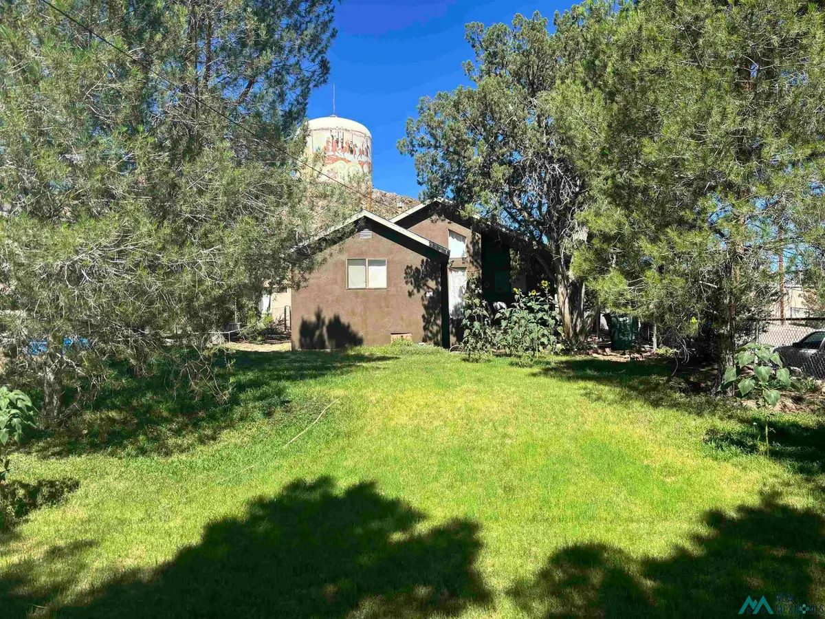 124 N Pershing, Truth Or Consequences, NM 87901 - #1