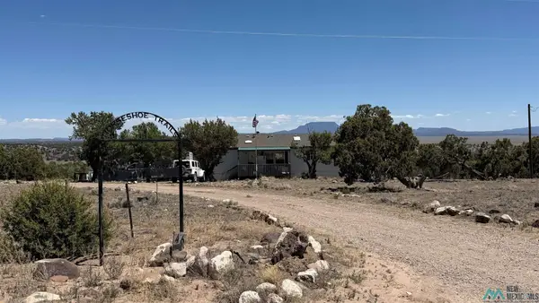 46 Horseshoe Circle, Quemado, NM 87829