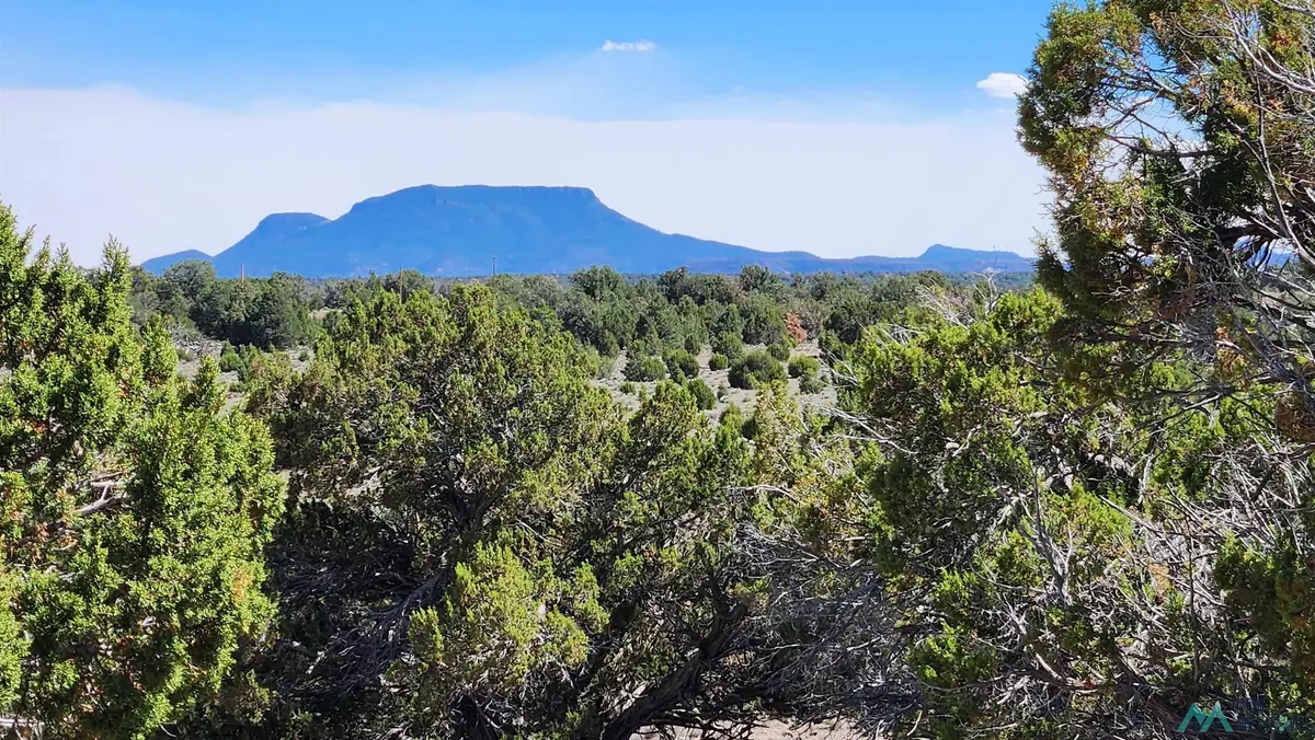 Ocaso Circle, Pie Town, NM 87827 - #1
