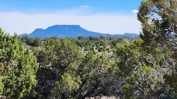 Ocaso Circle, Pie Town, NM 87827