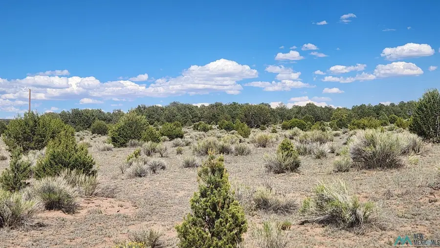 Ocaso Circle, Pie Town, NM 87827 - #2