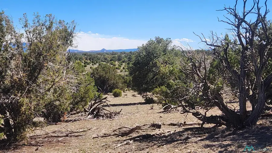 Ocaso Circle, Pie Town, NM 87827 - #3