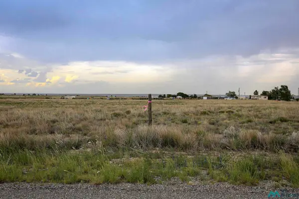 Mallard Ave, Roswell, NM 88201
