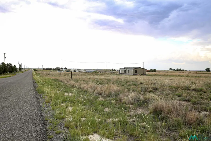 Mallard Ave, Roswell, NM 88201 - #3