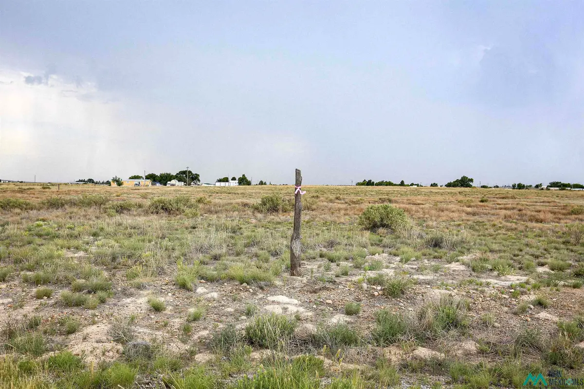 Sandhill Ave, Roswell, NM 88201 - #1