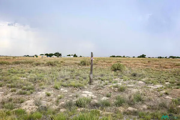 Sandhill Ave, Roswell, NM 88201
