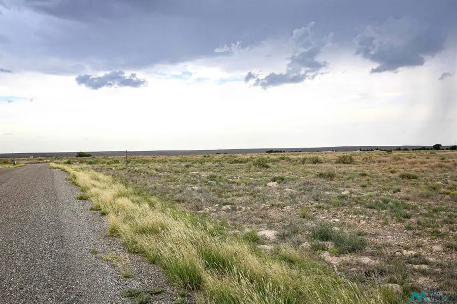 Sandhill Ave, Roswell, NM 88201 - #2