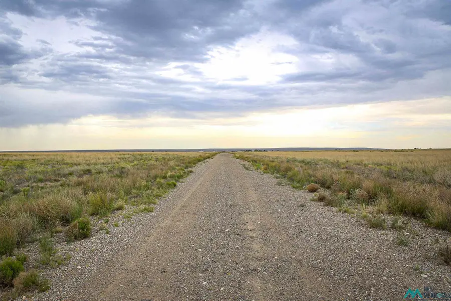 Bitter Lakes, Roswell, NM 88201 - #2