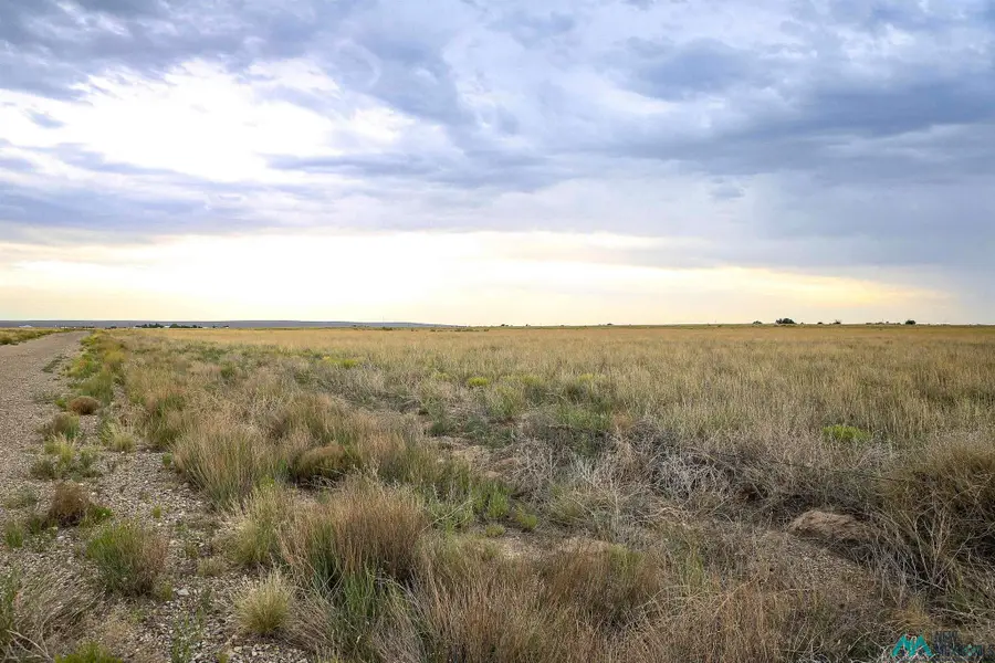 Bitter Lakes, Roswell, NM 88201 - #3