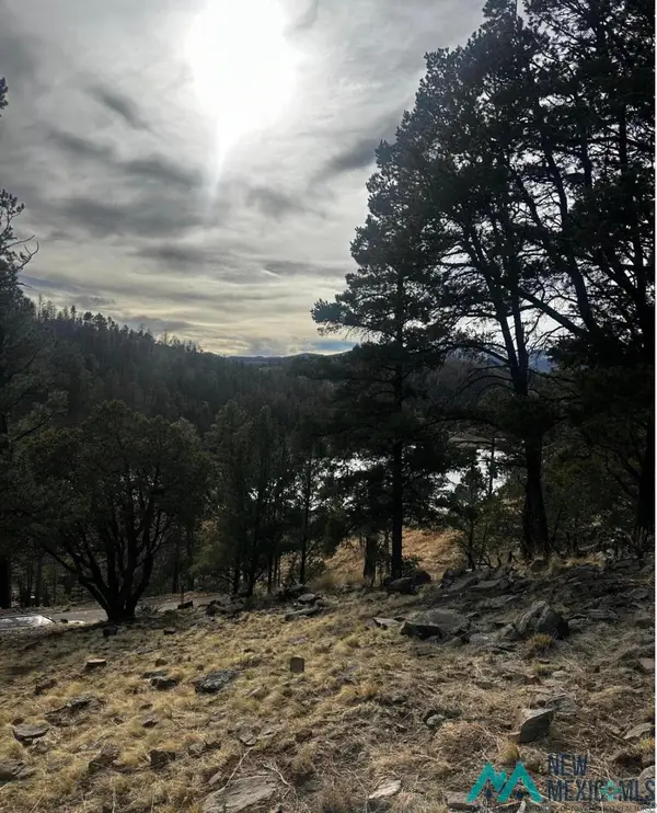 71 Lake Shore Dr, Alto, NM 88312