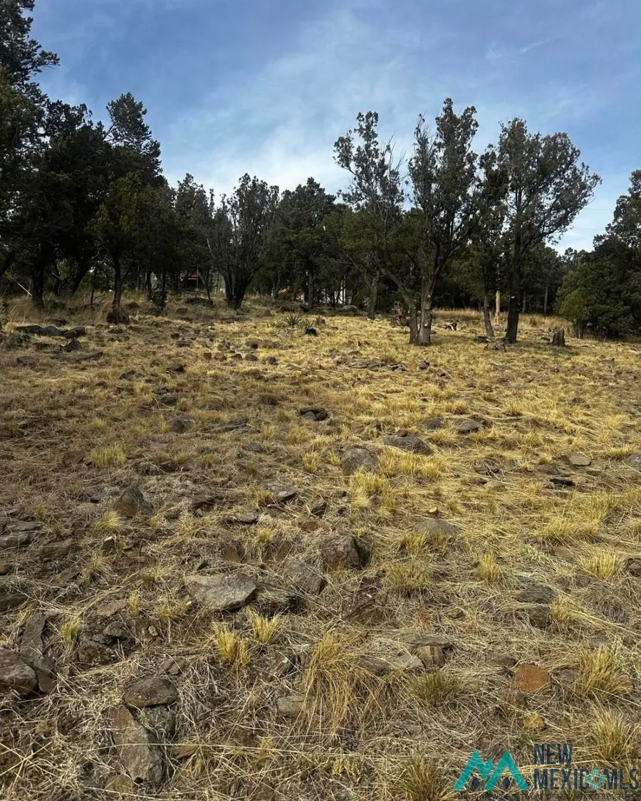 71 Lake Shore Dr, Alto, NM 88312 - #3