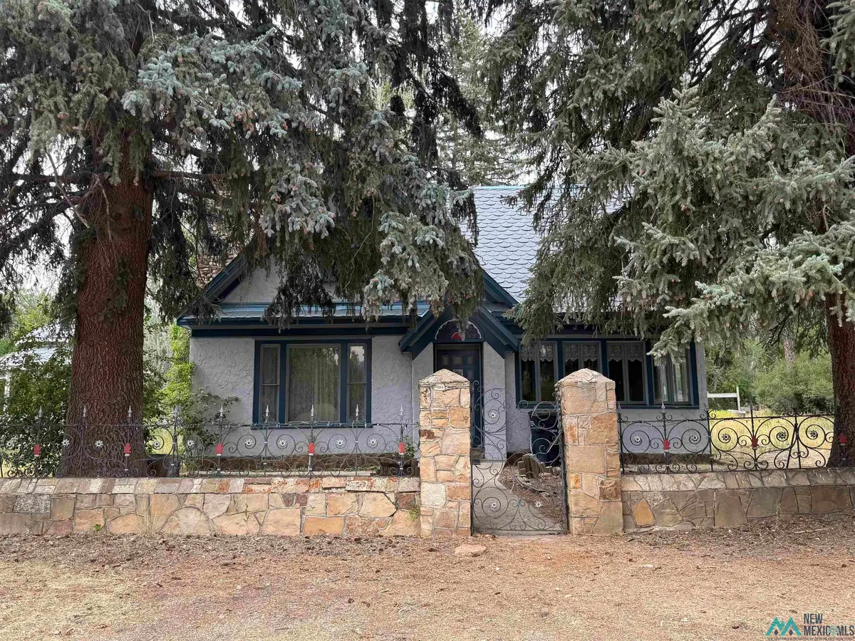 241 Maple Ave Ave, Chama, NM 87520 - #1