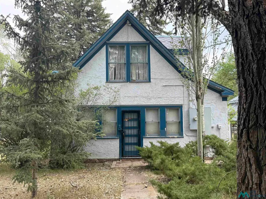 241 Maple Ave Ave, Chama, NM 87520 - #2