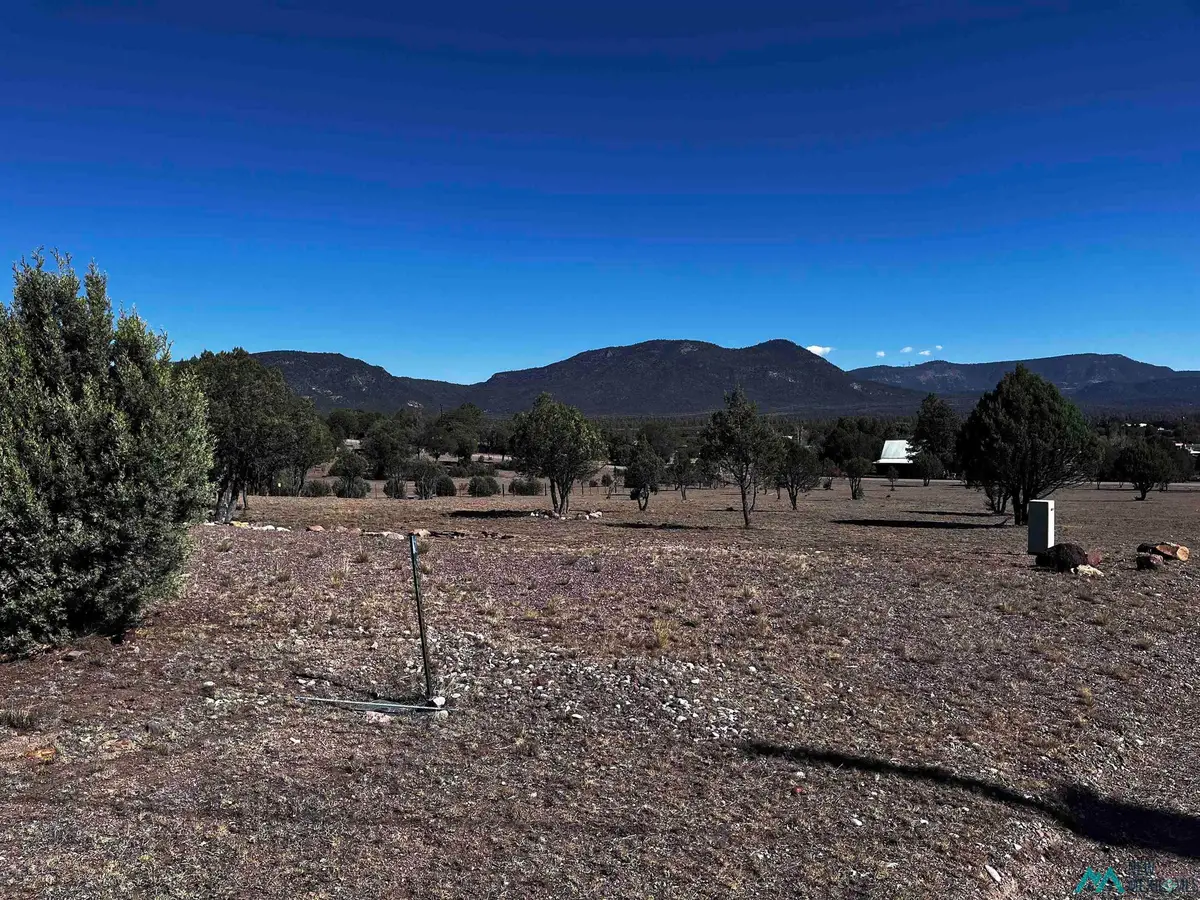 60 Oak St, Reserve, NM 87830 - #1
