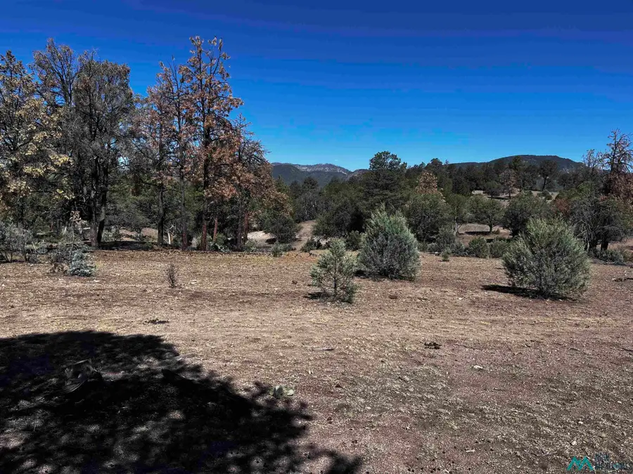 60 Oak St, Reserve, NM 87830 - #2