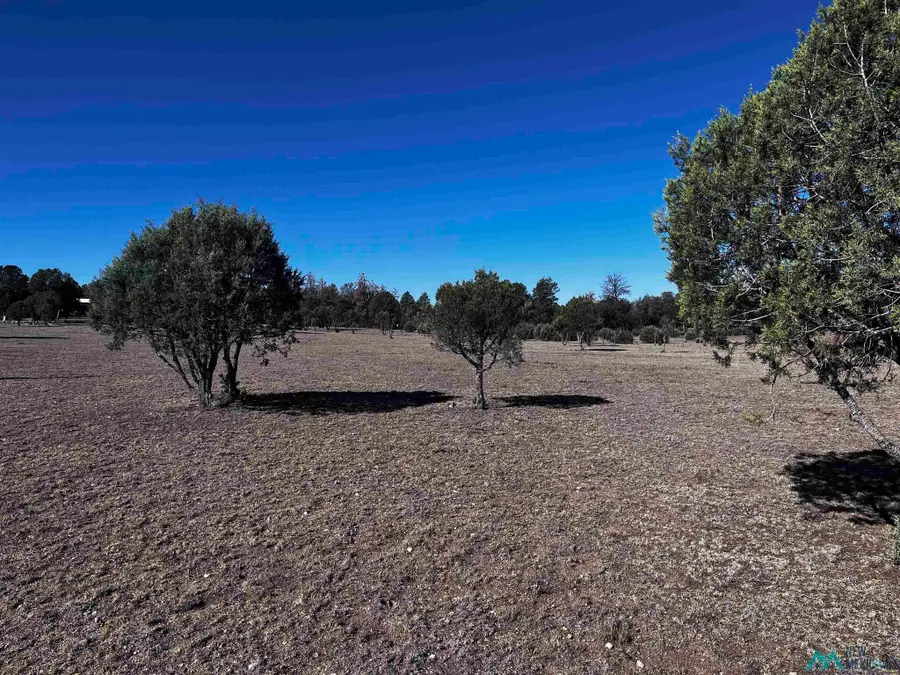60 Oak St, Reserve, NM 87830 - #3