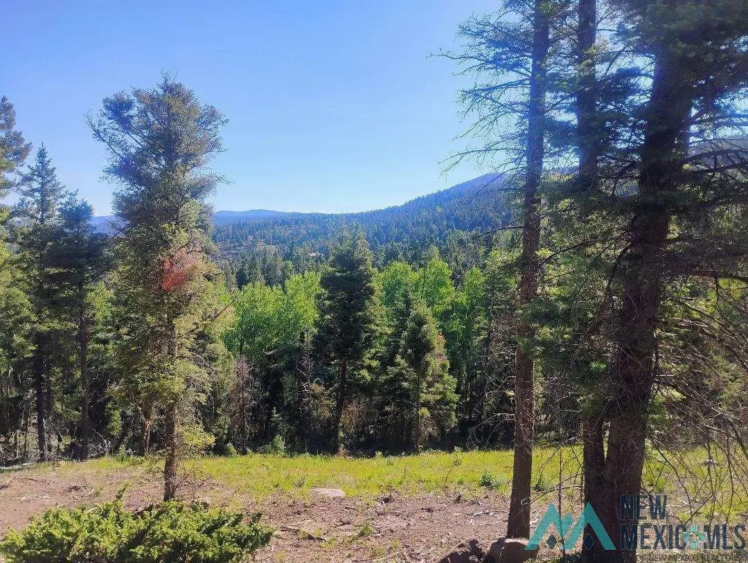 Vail, Angel Fire, NM 87710 - #1