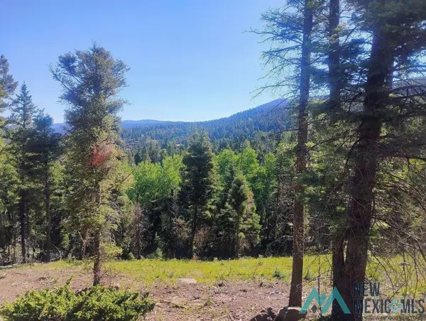 Vail, Angel Fire, NM 87710