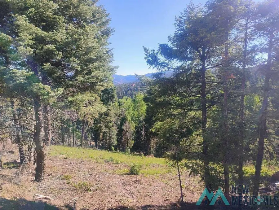 Vail, Angel Fire, NM 87710 - #2